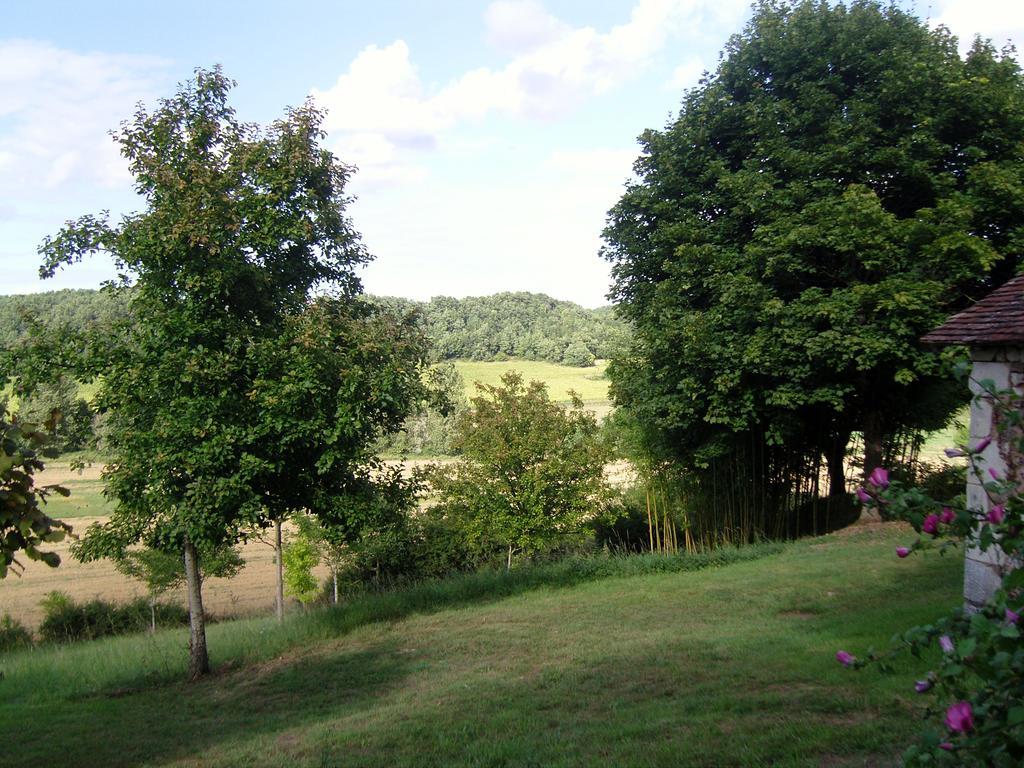 Gite De Serre Le Grand-Pressigny Room photo